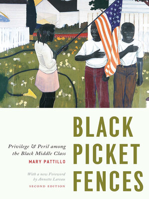 cover image of Black Picket Fences